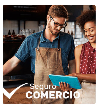 seguro-de-COMERCIO